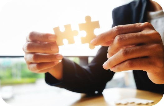 Business Solution Services